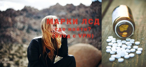 мдпв Бородино
