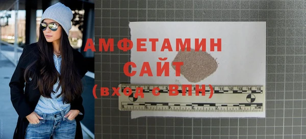 мдпв Бородино