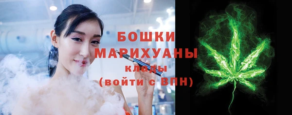 мдпв Бородино