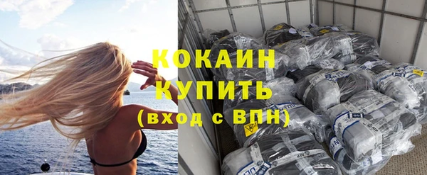 мдпв Бородино