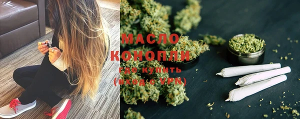 мдпв Бородино