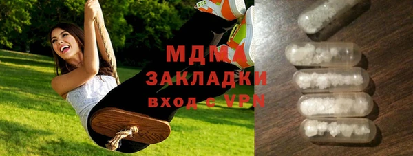мдпв Бородино
